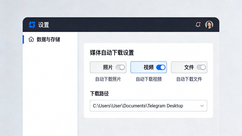 纸飞机电脑版设置中数据与存储选项的界面，展示媒体自动下载设置
